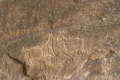 Preshistoric petroglyphs