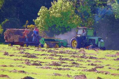 Baling Hay