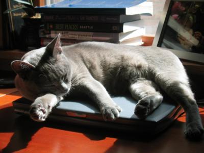 u44/macastat/medium/34401349.IMG_1623.jpg