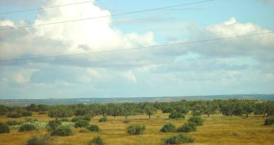 On the way to Kairouan