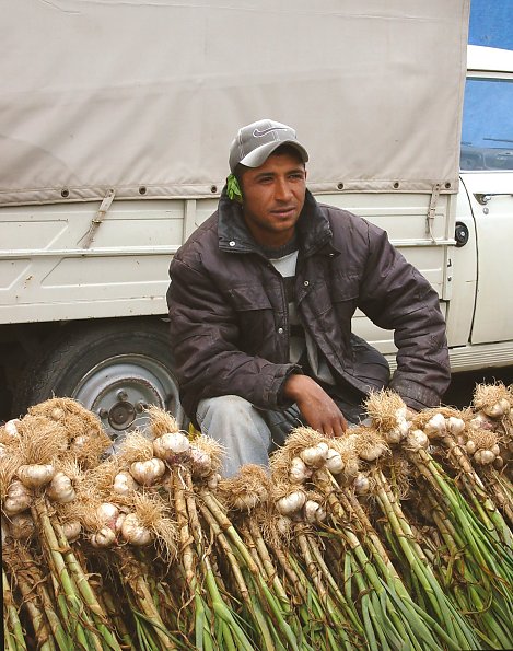 It was the Garlic Season