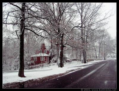 redwinterhouse_web.jpg