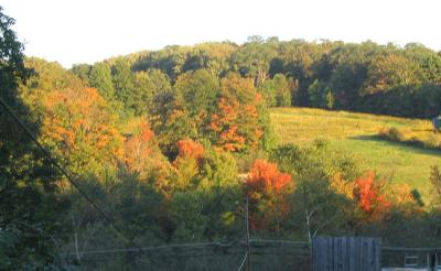 The Hill behind my House