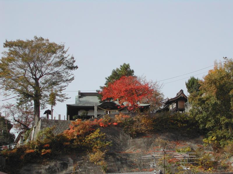 DSCN0294.JPG