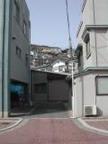 DSCN0293.JPG
