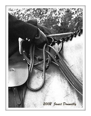 u44/mapgirl/medium/28844067.BW_Saddle.jpg