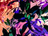 Robinia design