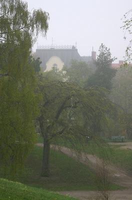 Misty morning in Kronobergsparken