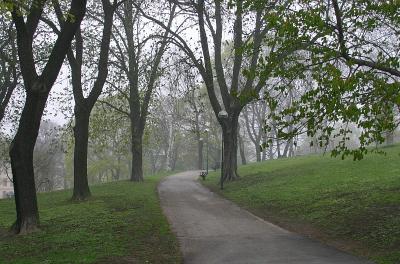 The park path