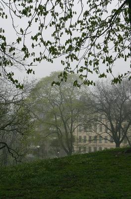 Misty morning in Kronobergsparken 5