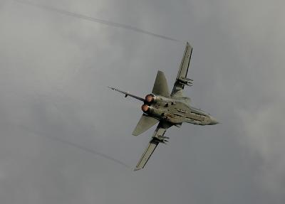 Firebird7.jpg