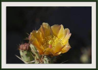 CRW_8350{Q}.jpg