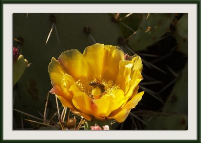 CRW_8355{Q}.jpg