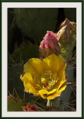 CRW_8358{Q}.jpg