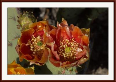 CRW_8382{Q}.jpg