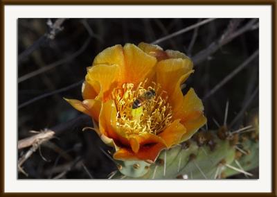 CRW_8394{Q}.jpg