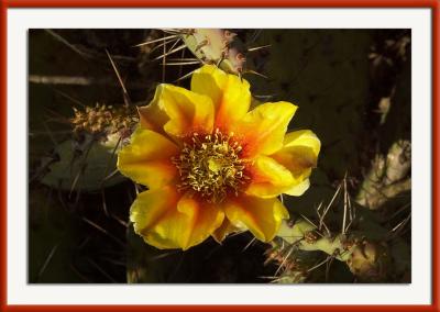 CRW_8402{Q}.jpg