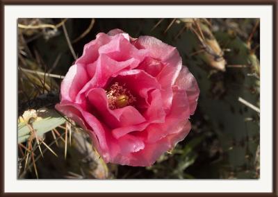 CRW_8410{Q}.jpg