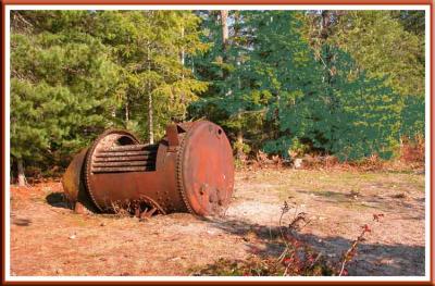 Boiler from old logging operation.
