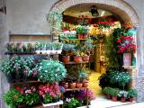 San Gimignano