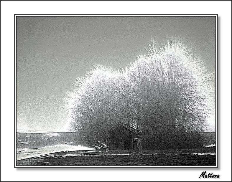 Winter