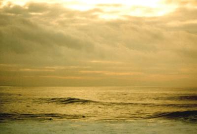 Steamer Lane
