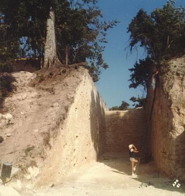 The measure of a mound at Nohmul-Mark Bomgardner atop ladder