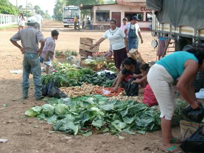 u44/meg96/medium/28687228.GuatemalanRoadsideMarketnearTikal.jpg