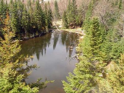 Alpine Lake