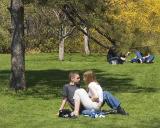 Romance in the Park