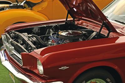 u44/metgue/medium/28536223.Mustang.jpg