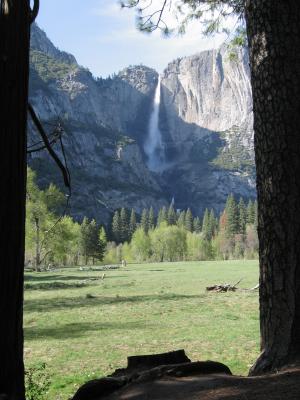 Yosemite Falls (IMG_0507.JPG)