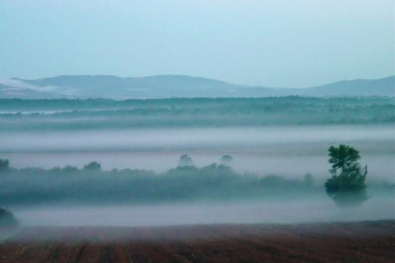 Morning Mist