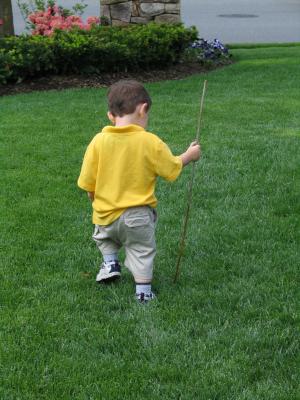 Exploring the yard