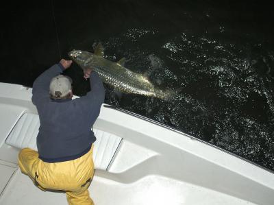 tommy releasing mike 40lb tarpon 04-30-04.jpg