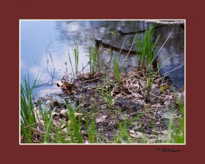 DSC_3943.jpg