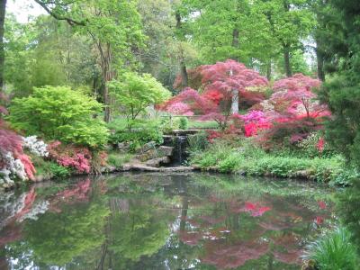 Japanese Garden in Exbury Gardens