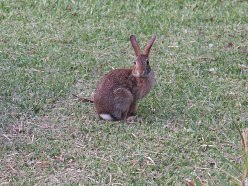 Whats that funny looking black thing you are pointing at me.