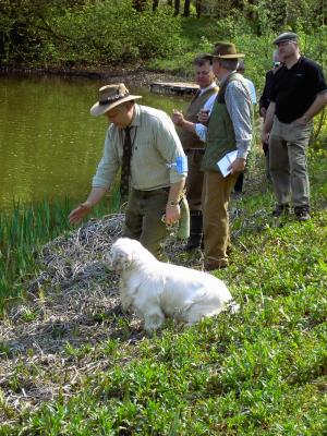 usa_european_spaniel_congress_2004