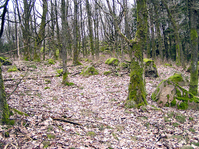 P4080113.jpg