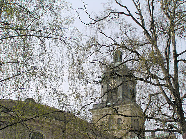 P4170029.jpg