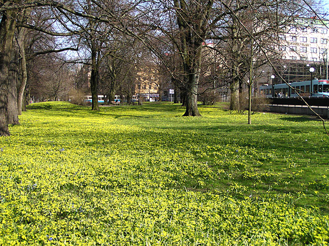 P4170093.jpg