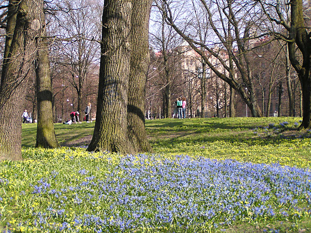 P4170108.jpg