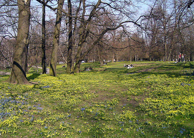 P4170110.jpg