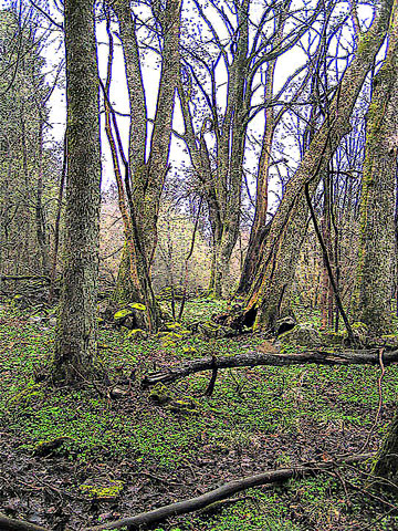 aP4210084c.jpg