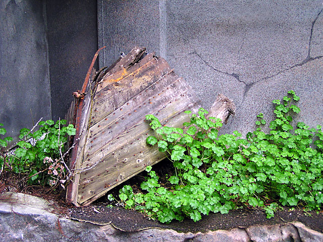 P4260036.jpg