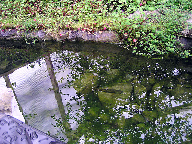 P4260039a.jpg