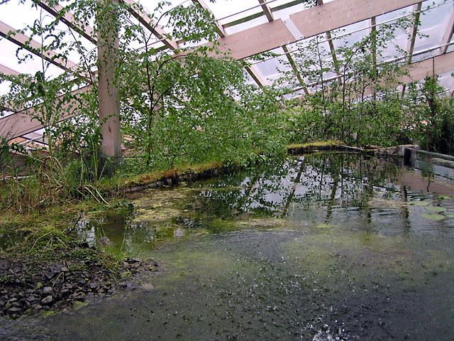 P4260040.jpg