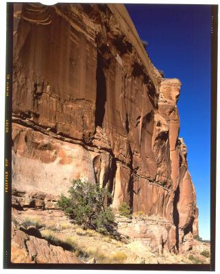 Canyonlands Rock Detail.jpg