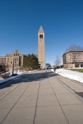CRW_1767.jpg
